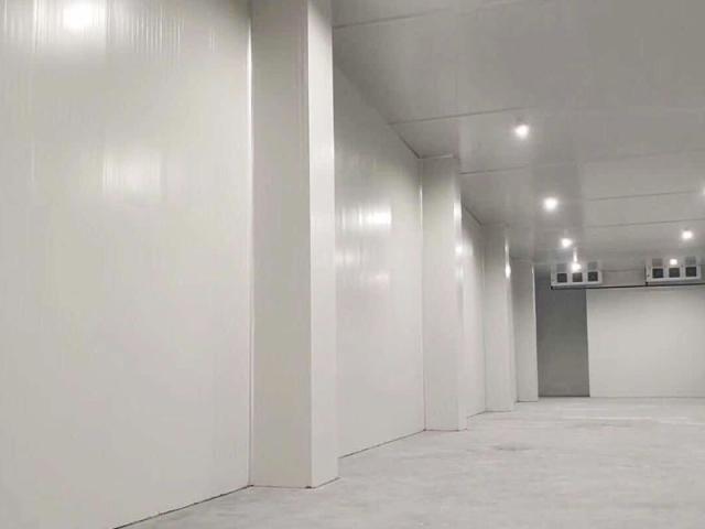 Freezer door project case