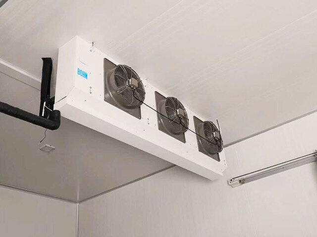 Electric cold storage door project case